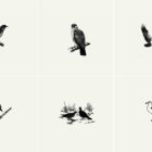 Birds Illustrations Presentation 012