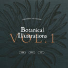 Botanical Illustrations Vol 01 Presentation 01