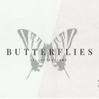 Butterflies Illustrations Presentation 01