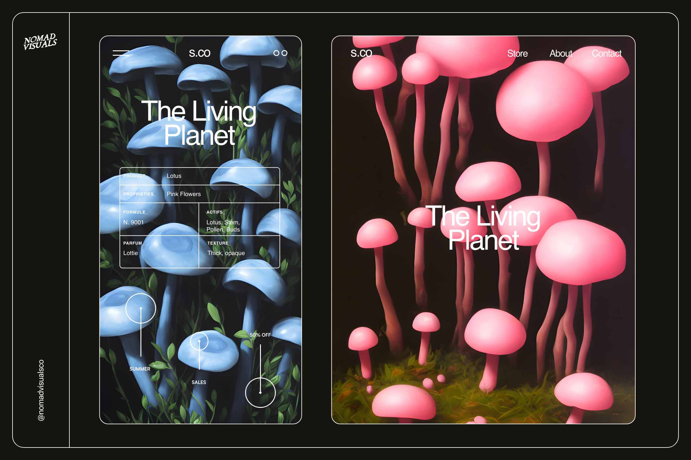 Enchanting Mushrooms Illustrations Presentation 01