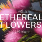 Ethereal Flowers Illustrations Presentation 01
