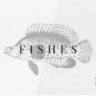 Fish Illustrations Presentation 01