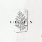 Fossils Illustrations Presentation 01